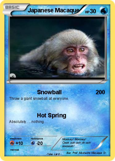 Pokemon Japanese Macaque