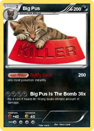 Pokemon Big Pus
