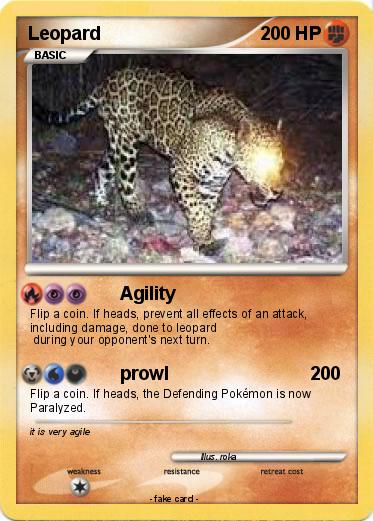 Pokemon Leopard