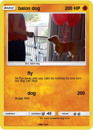 Pokemon balon dog