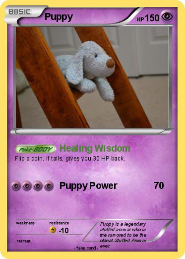 Pokemon Puppy