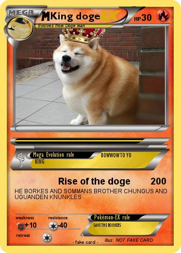 Pokemon King doge