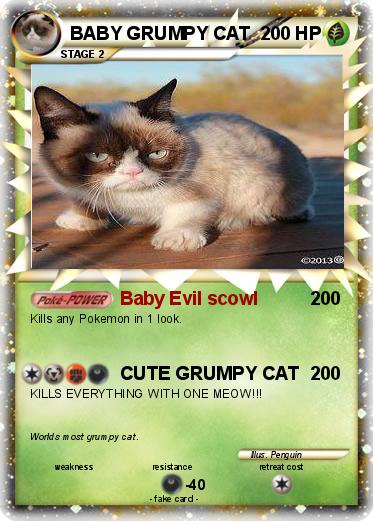 Pokemon BABY GRUMPY CAT