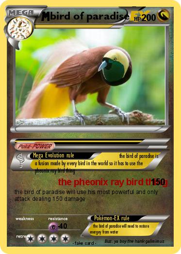 Pokemon bird of paradise