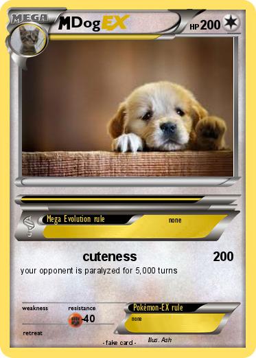 Pokemon Dog
