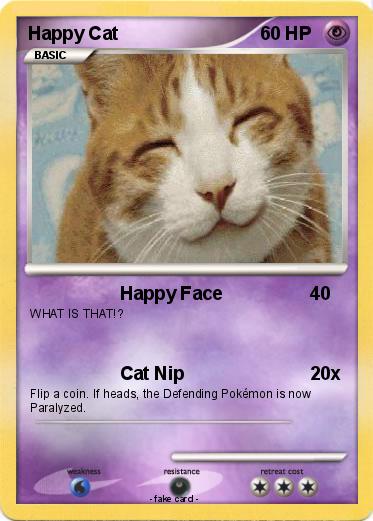 Pokemon Happy Cat