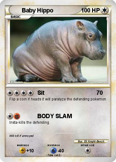 Pokemon Baby Hippo