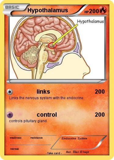 Pokemon Hypothalamus