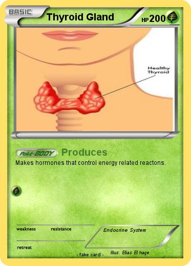 Pokemon Thyroid Gland