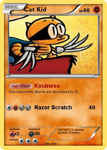 Pokemon Cat Kid