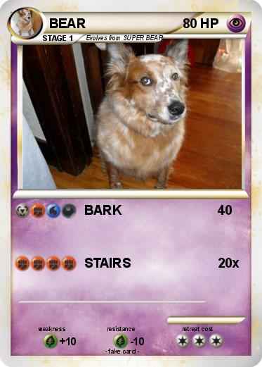 Pokemon BEAR