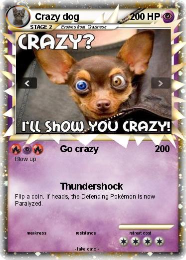 Pokemon Crazy dog
