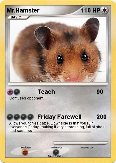 Pokemon Mr.Hamster