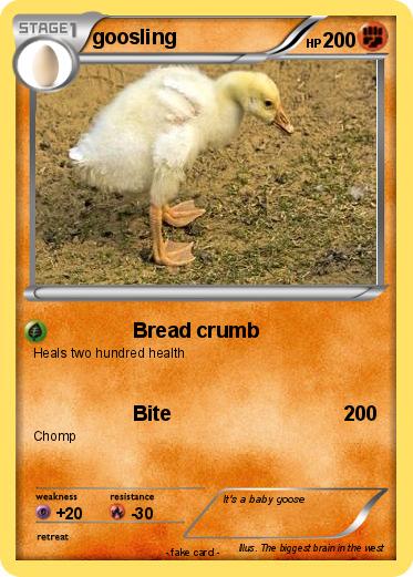 Pokemon goosling