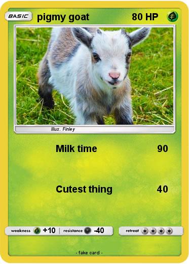 Pokemon pigmy goat