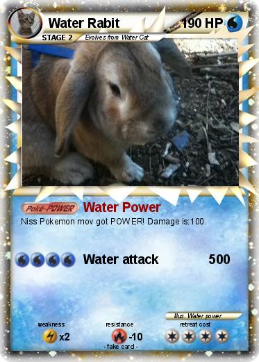 Pokemon Water Rabit