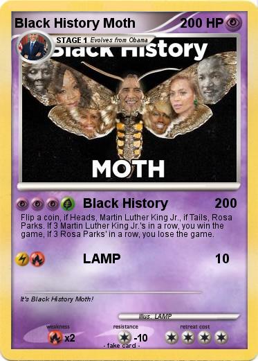 Pokemon Black History Moth