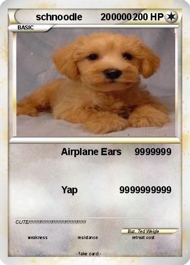 Pokemon schnoodle       200000