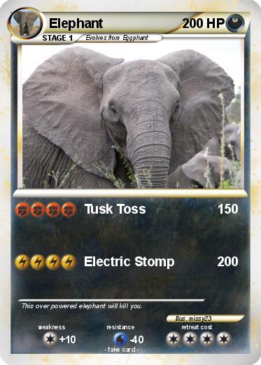 Pokemon Elephant