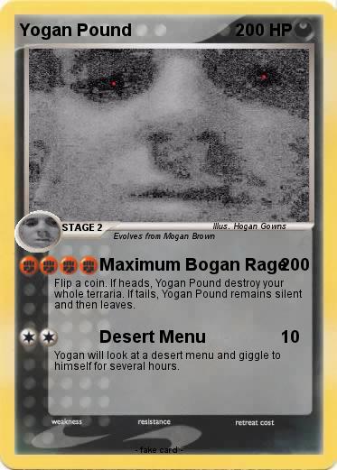 Pokemon Yogan Pound