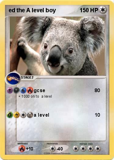 Pokemon ed the A level boy