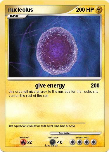 Pokemon nucleolus