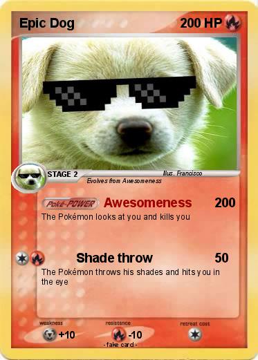 Pokemon Epic Dog
