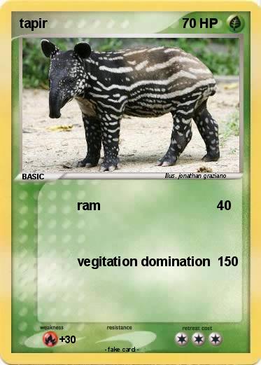 Pokemon tapir