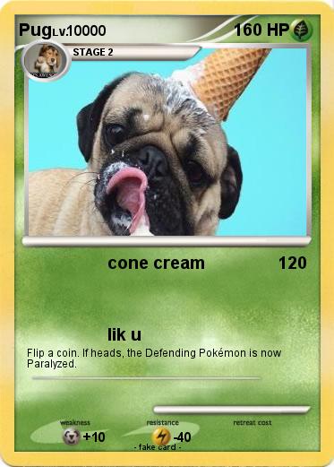 Pokemon Pug
