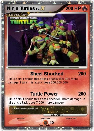Pokemon Ninja Turtles