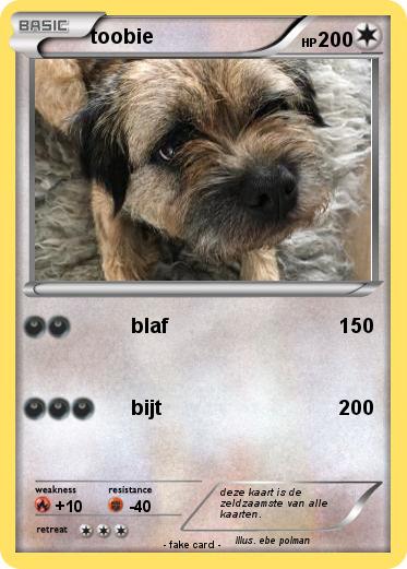 Pokemon toobie