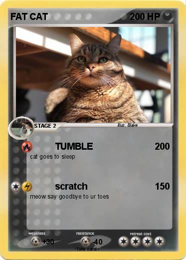 Pokemon FAT CAT
