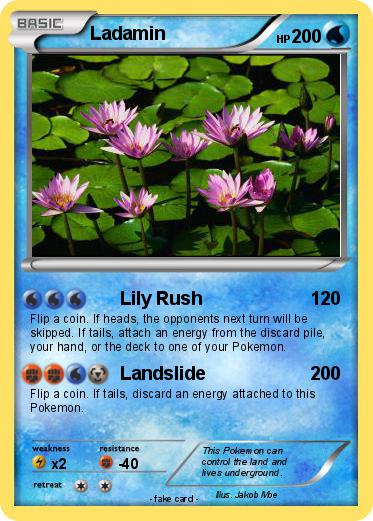 Pokemon Ladamin