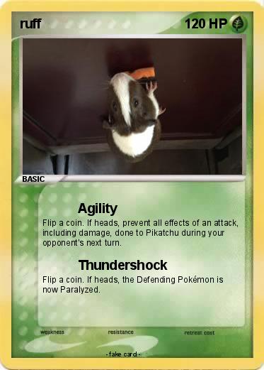 Pokemon ruff