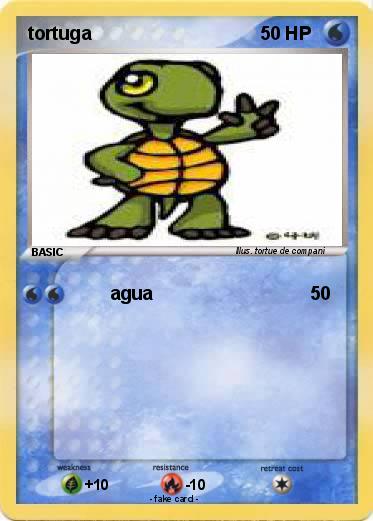 Pokemon tortuga