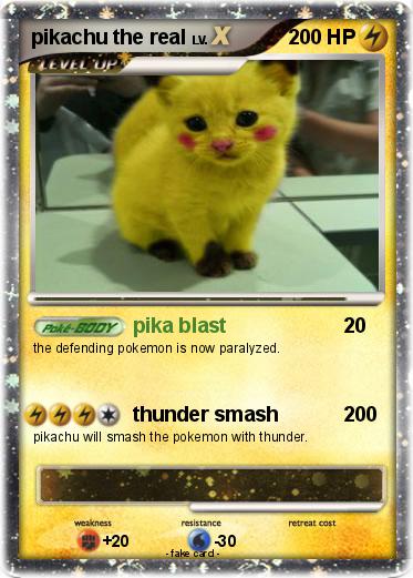 Pokemon pikachu the real