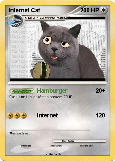 Pokemon Internet Cat