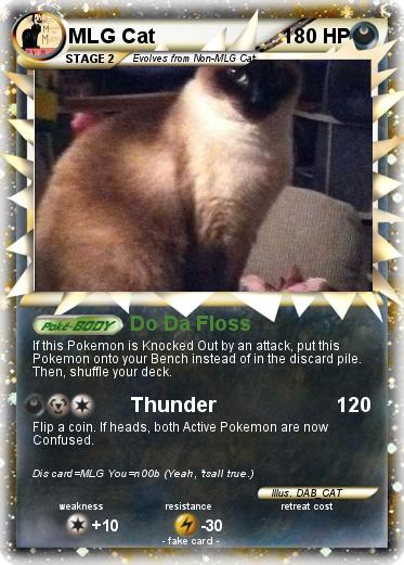 Pokemon MLG Cat