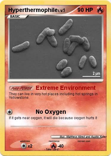 Pokemon Hyperthermophile