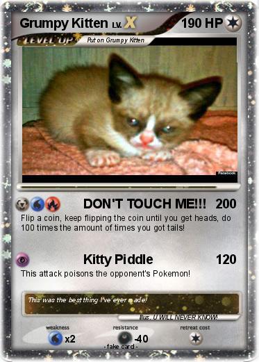 Pokemon Grumpy Kitten