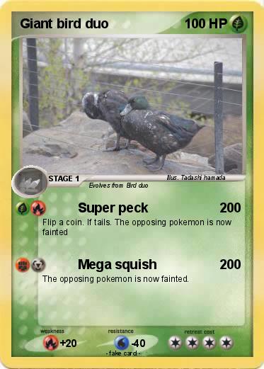 Pokemon Giant bird duo
