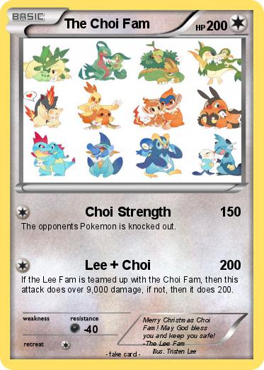 Pokemon The Choi Fam