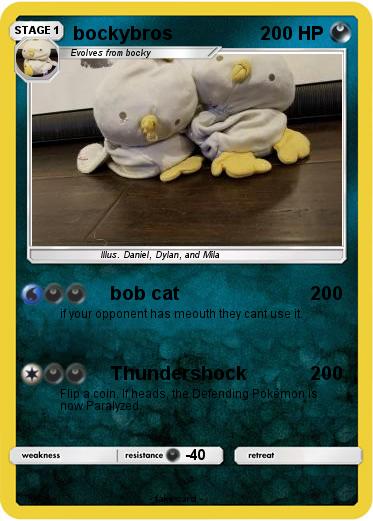 Pokemon bockybros