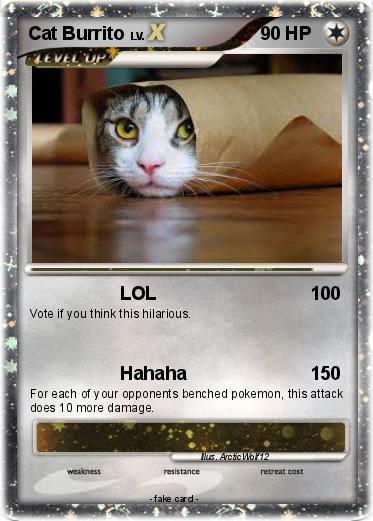 Pokemon Cat Burrito