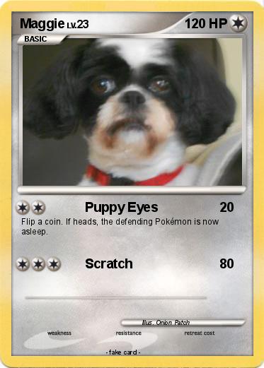 Pokemon Maggie