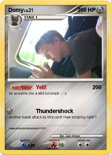 Pokemon Domy