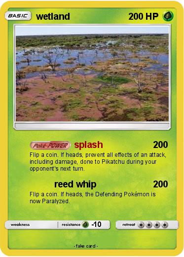 Pokemon wetland