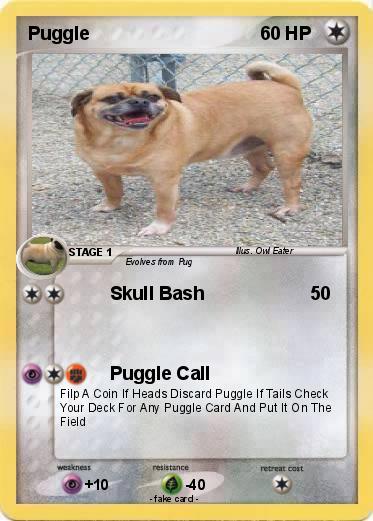 Pokemon Puggle