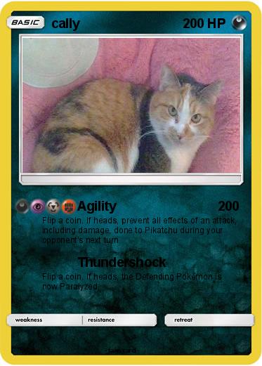 Pokemon cally