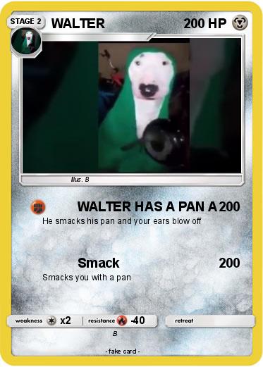 Pokemon WALTER